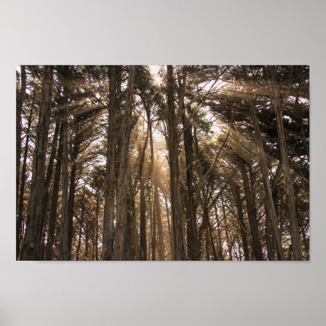 Poster Lever du matin (Devant)