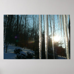 Poster Lever du soleil à travers Icicles hiver Photograph