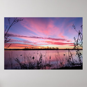 Poster Lever du soleil dans l'aveugle canard de l'Arkansa