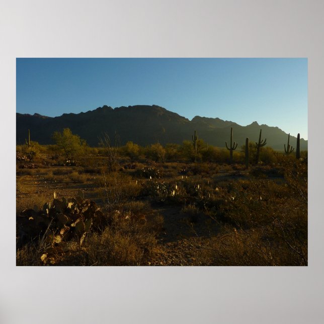 Poster Lever du soleil du Saguaro dans le parc national d (Devant)