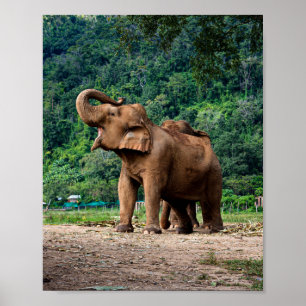 Poster Levez-Vous Et Soyez Entendu