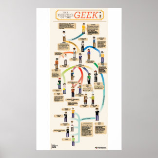 Poster L'évolution du Geek