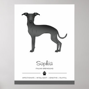 Poster Lévrier Italien Noir Chien Mignon Avec Texte Perso