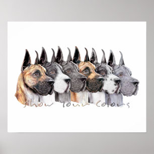 Poster L'exposition de great dane colore le groupe