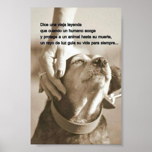 Poster Leyenda sobre adoptar (Devant)