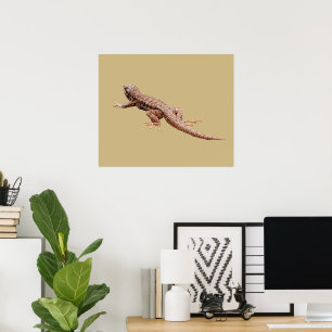 Poster Lézard