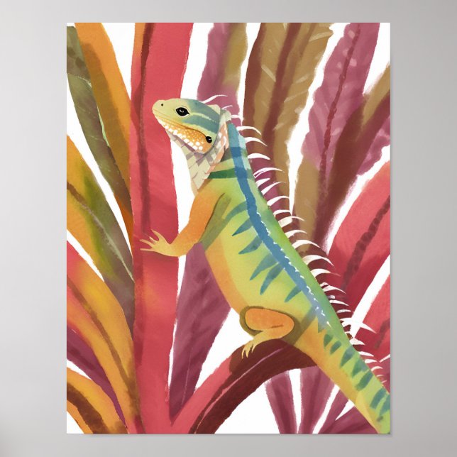 Poster Lézard des caraïbes (Devant)