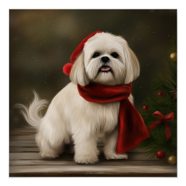 Poster Lhasa Apso Chien dans Noël de neige (Devant)