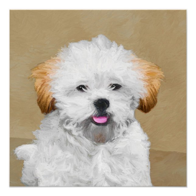 Poster Lhasa Apso Puppy Peinture - Cute Original Chien Ar (Devant)