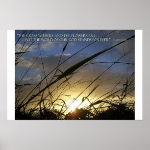 Poster L'herbe Withers