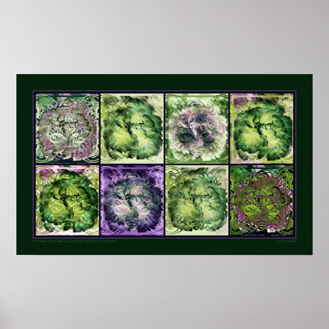 Poster L'Hibiscus peut-être vert (Devant)