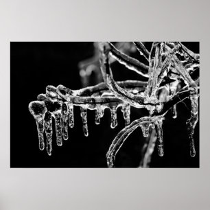 Poster l'hiver