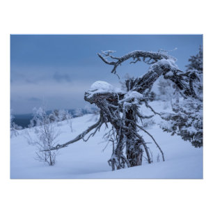 Poster L'hiver alien en bois