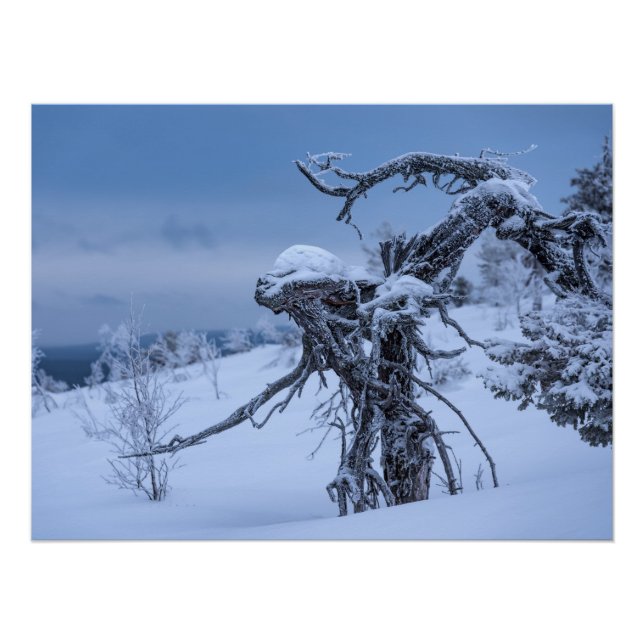 Poster L'hiver alien en bois (Devant)