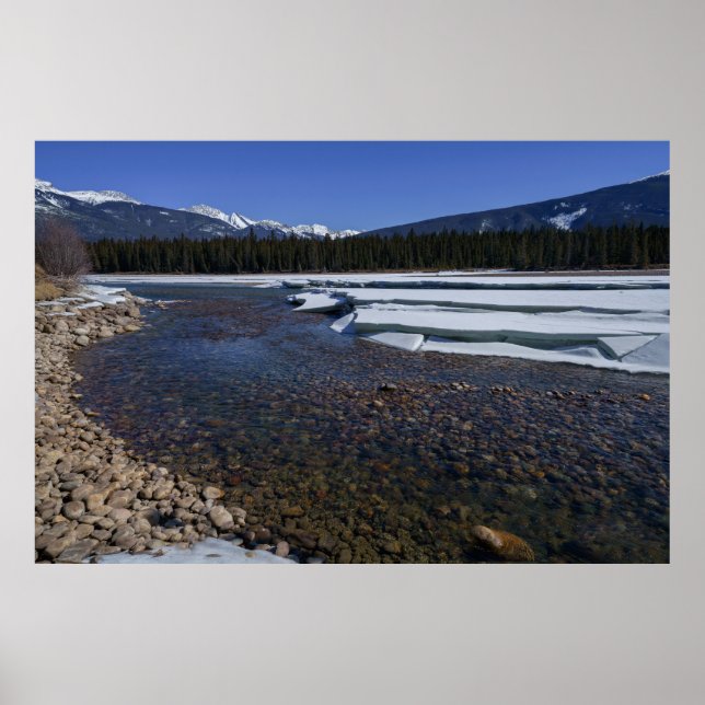 Poster L'hiver le long de la rivière Athabasca (Devant)