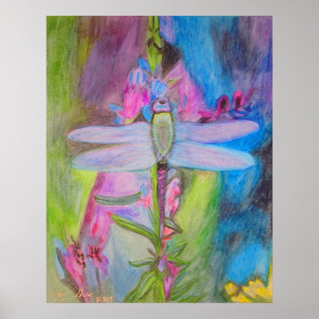 Poster libellule (Devant)