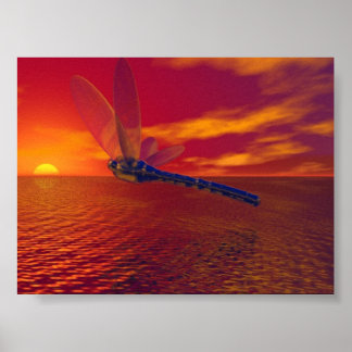 Poster libellule