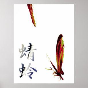 Poster libellule