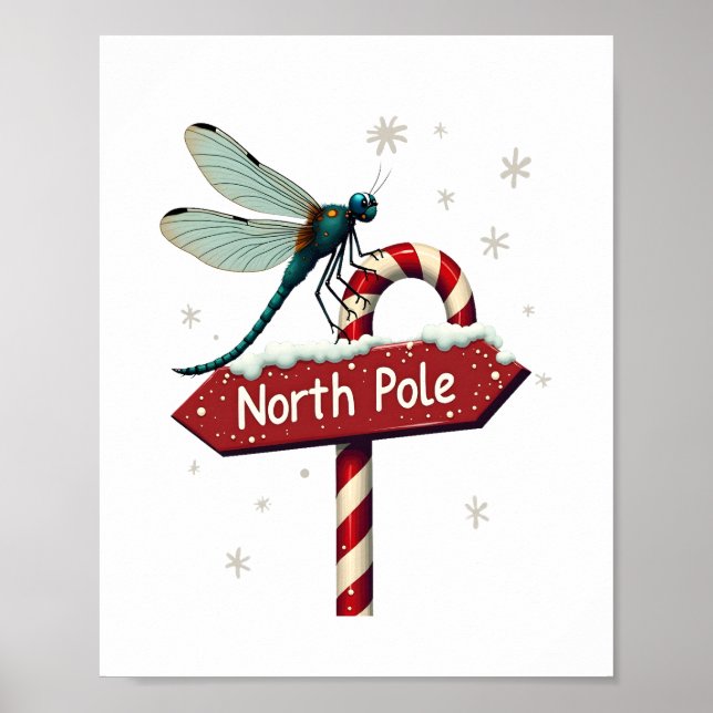 Poster libellule du pôle Nord (Devant)