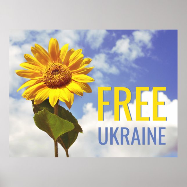 Poster Libérez Ukraine Bleu Yellow Sunflower Paix (Devant)