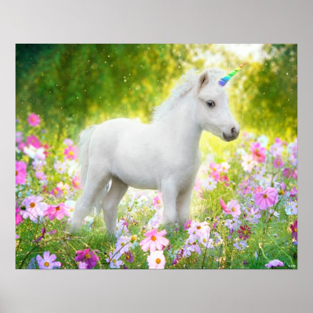Poster Licorne Poney Blanc (Devant)