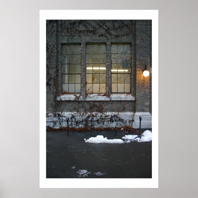 Poster Lierre et lumières (Devant)