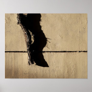 Poster Lierre et ombre