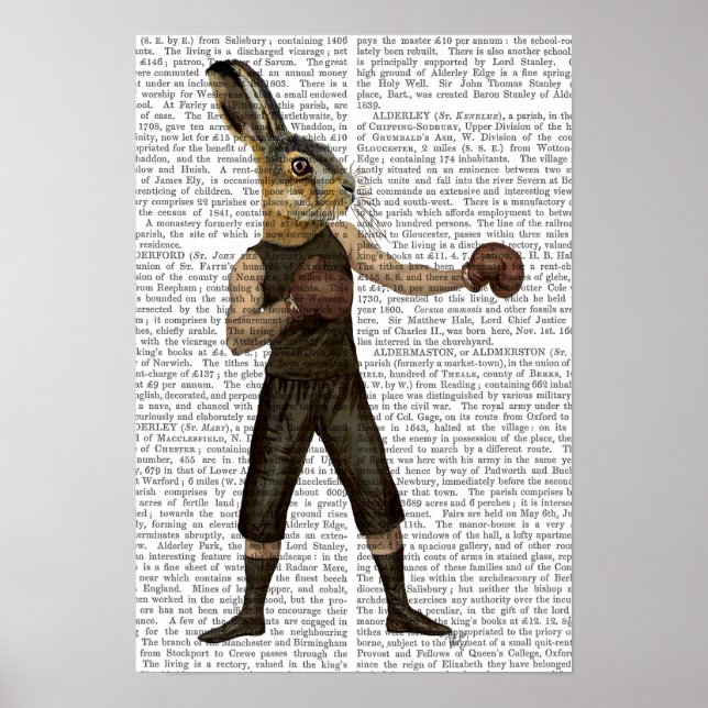 Poster Lièvre de boxe (Devant)