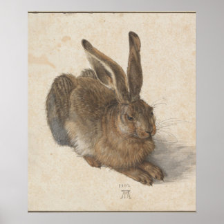 Poster Lièvre jeune (Durer 1502)