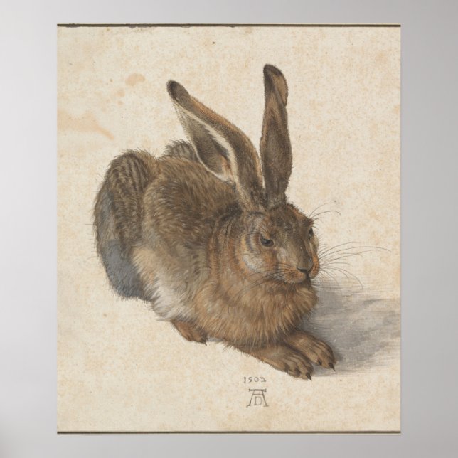 Poster Lièvre jeune (Durer 1502) (Devant)