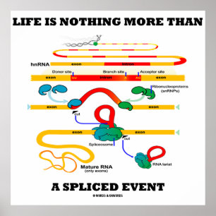 Poster Life Is Nothing More Than A Spliced Event (RNA)