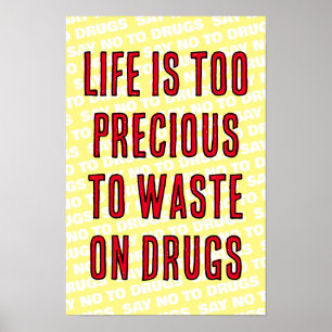 Poster Life Is Too Precious to Waste on Drugs 12x18