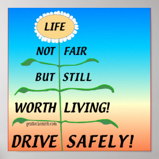 Poster LifeNotFair-DriveSafely !