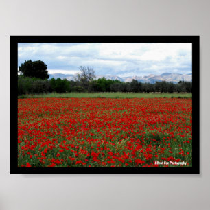 Poster Ligne d'arbres dans un champ de coquelicots