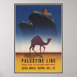 Poster Ligne de la Palestine
