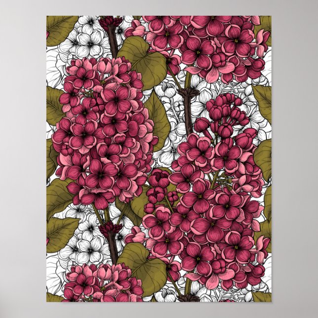 Poster Lilac (Devant)