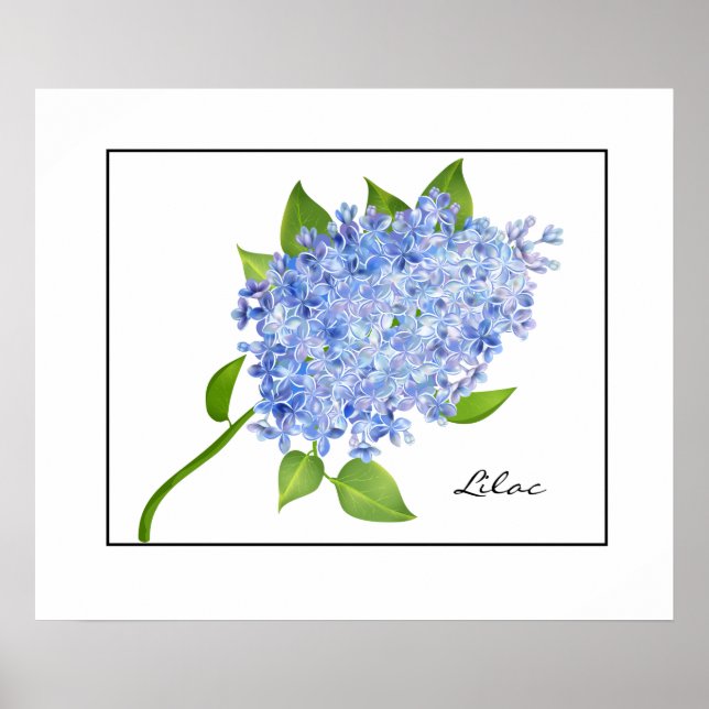 Poster-Lilac Poster (Front)