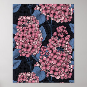Poster Lilac rose sur bleu foncé