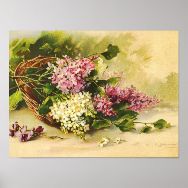 Poster Lilacs dans un panier par Catherine Klein Imprimer (Devant)