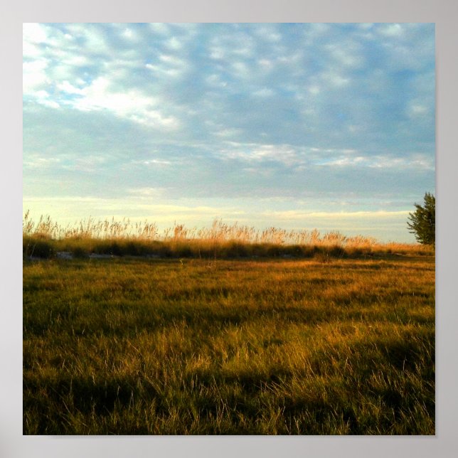 Poster L'île (Devant)