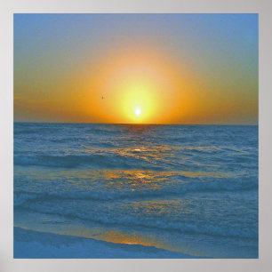 Poster L'île appelée la "canette de bière "