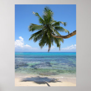 Poster L'île aux palmiers