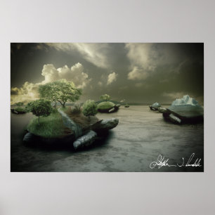 Poster L'île aux tortues