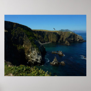 Poster L'île d'Anacapa dans le Parc national des îles Cha