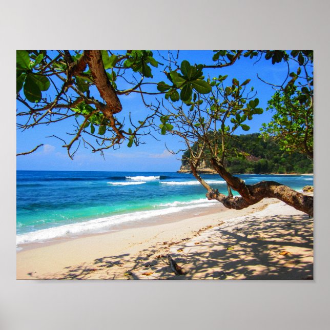 Poster L'île des Maldives par magasin. (Devant)