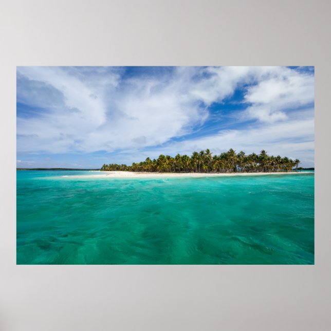 Poster L'île tropicale (Devant)