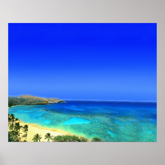 Poster L'île tropicale (Devant)