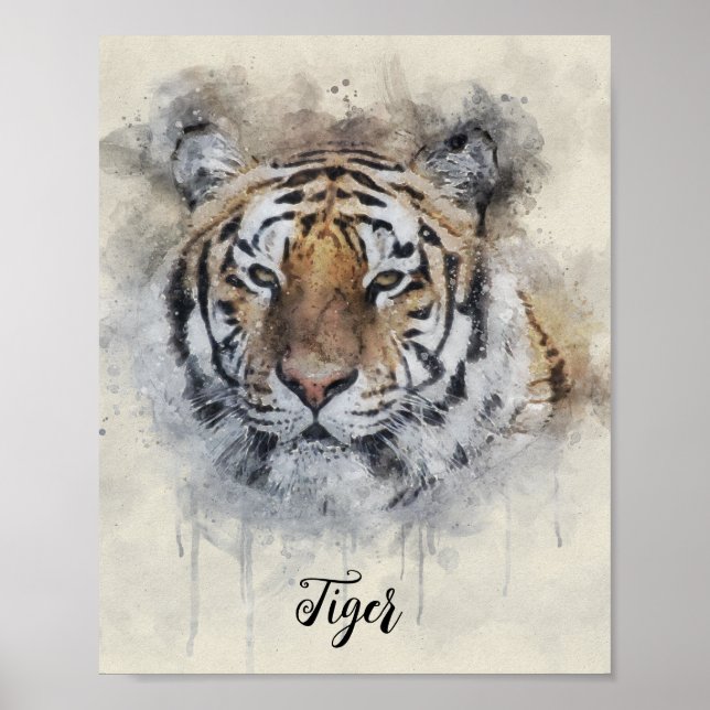 Poster L'illustration de l'aquarelle Tiger Look (Devant)