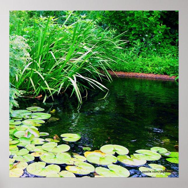Poster lilly pond, www.zazzle.com/jbpeanut (Devant)