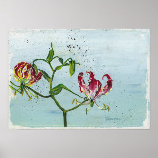 Poster Lily de flammes par Cheryl Jowers